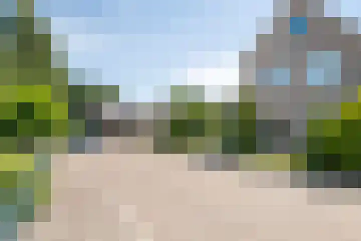 Helmbloem 36 Apeldoorn thumbnail 44