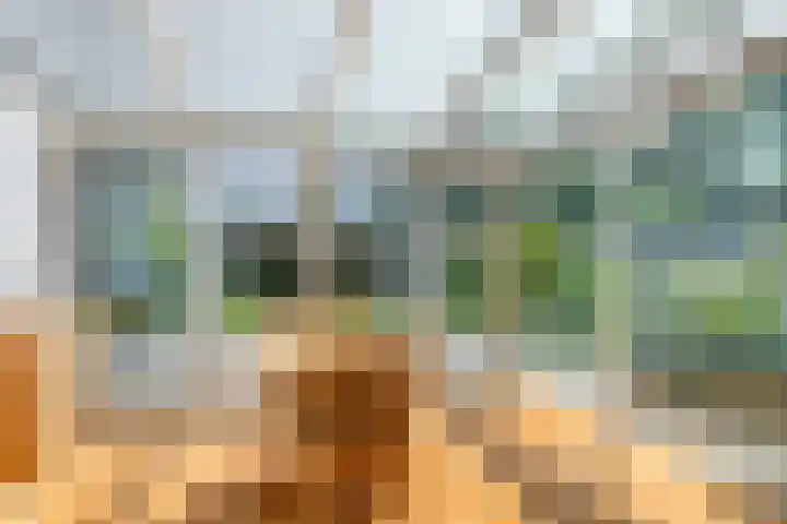 Helmbloem 36 Apeldoorn thumbnail 8