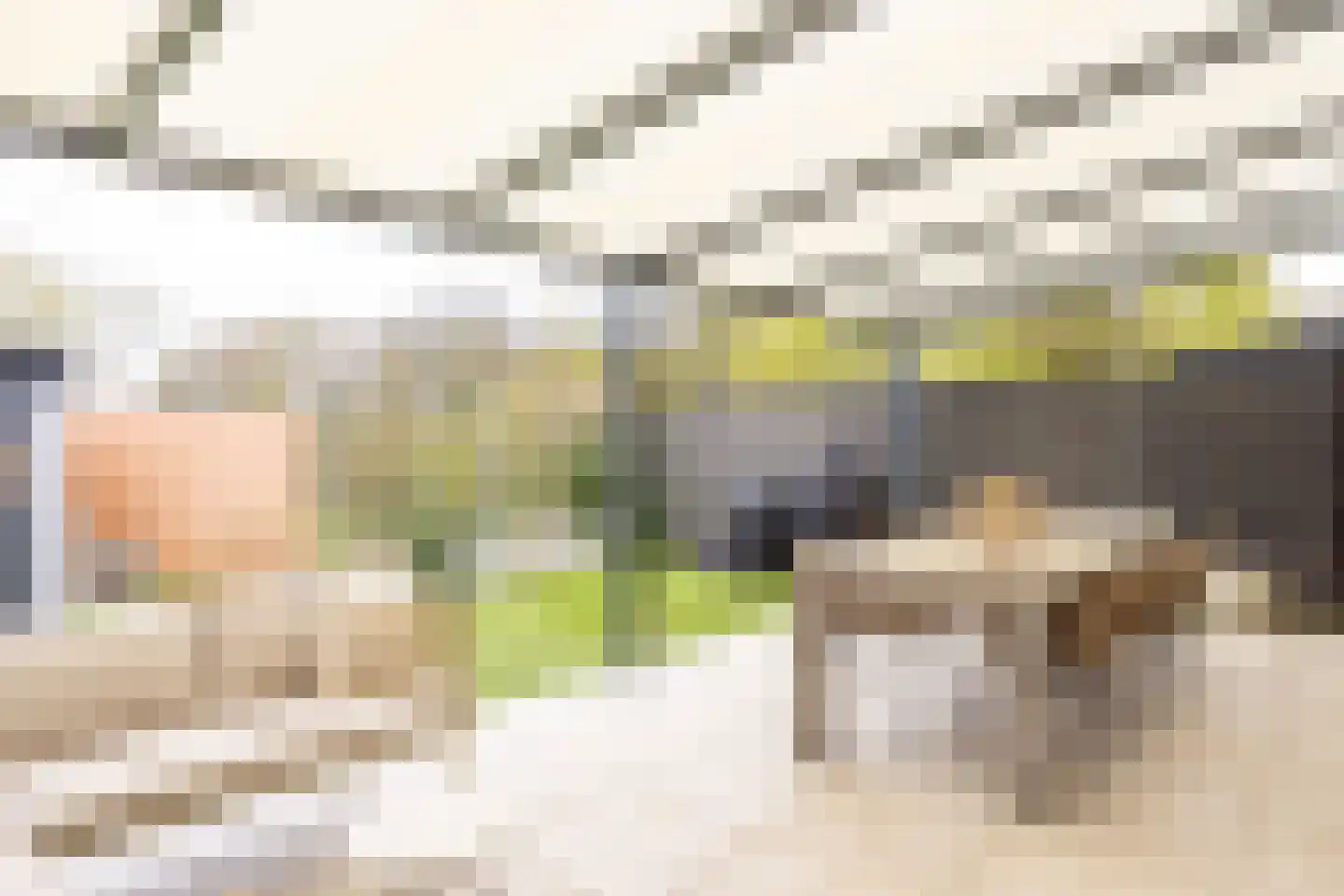 Helmbloem 7 Elsloo thumbnail 22