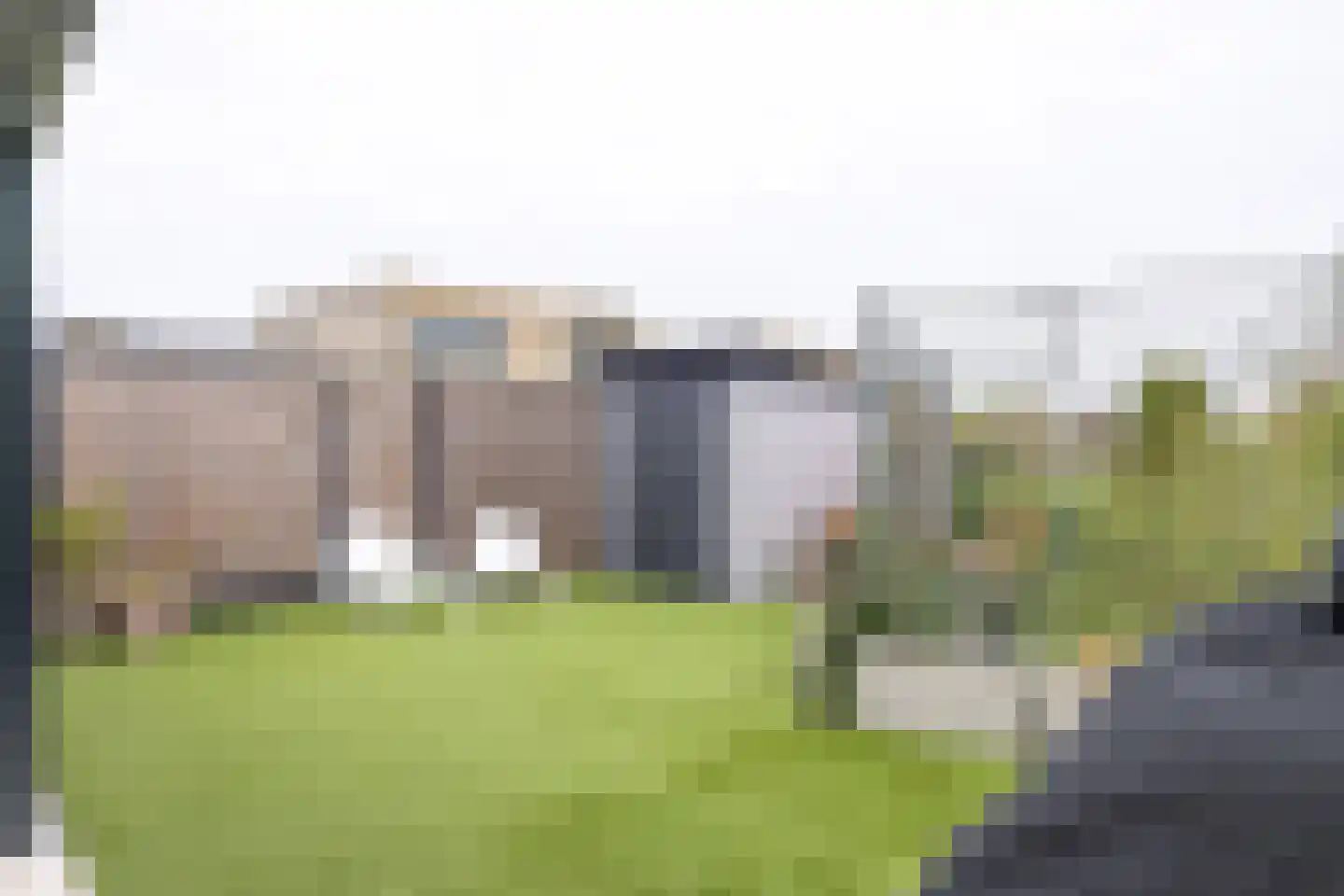 Helmbloem 7 Elsloo thumbnail 24