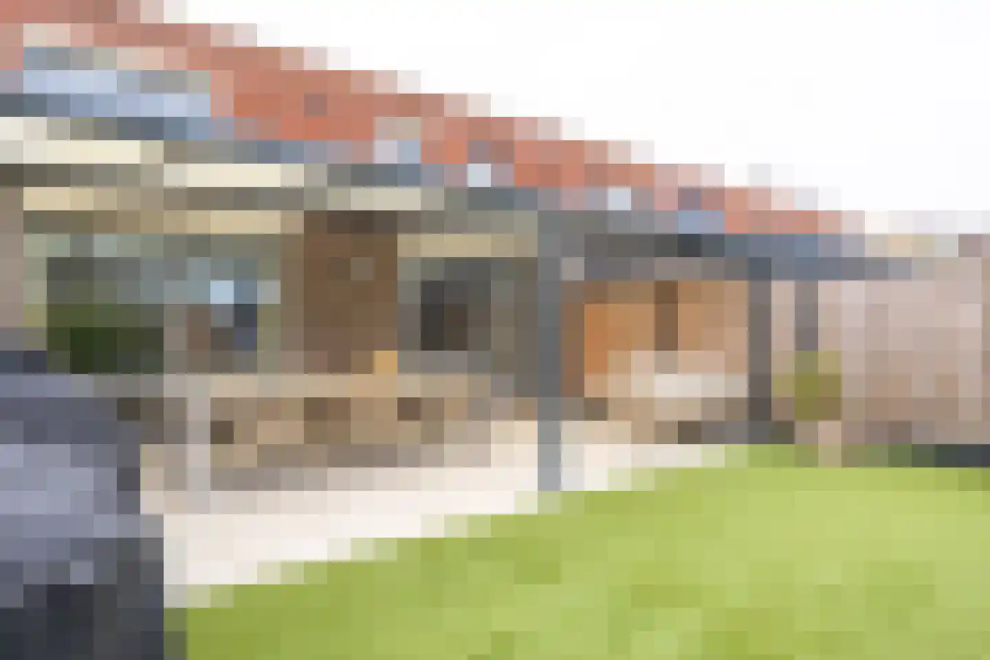 Helmbloem 7 Elsloo thumbnail 26