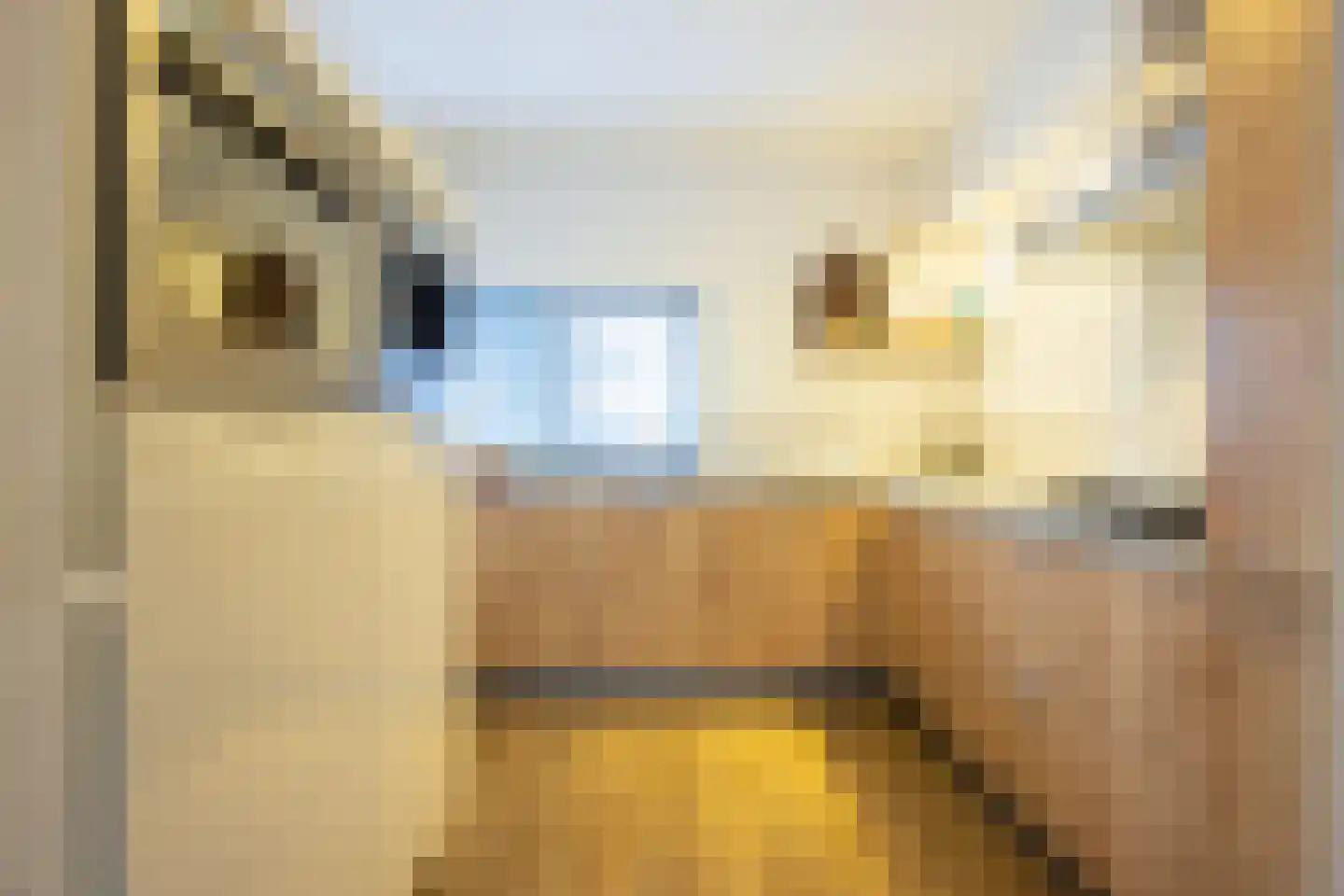 Helmbloem 7 Elsloo thumbnail 9
