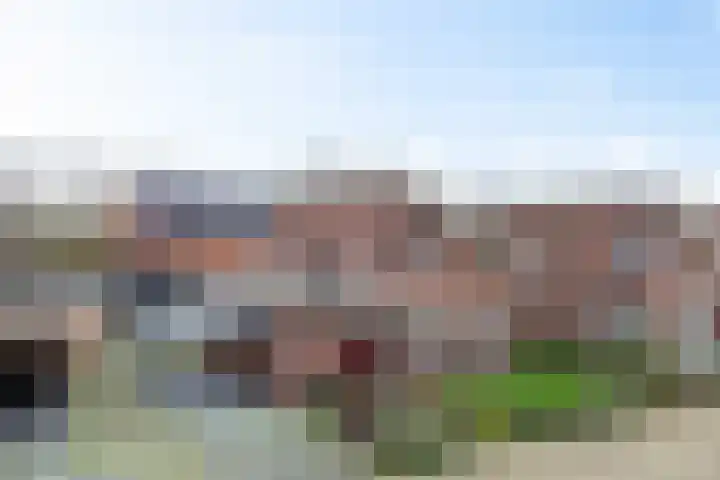 Helmbloemwal 11 Emmen