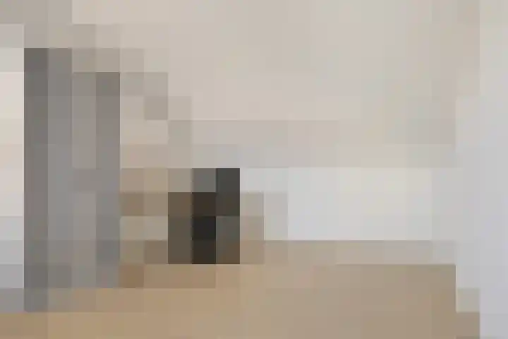 Helmbloemwal 11 Emmen thumbnail 24