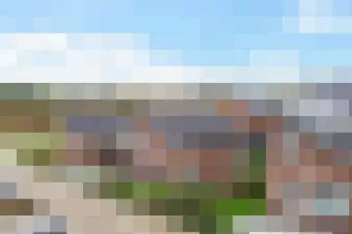 Helmbloemwal 11 Emmen thumbnail 28