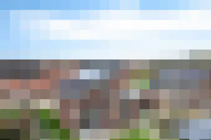 Helmbloemwal 11 Emmen thumbnail 33