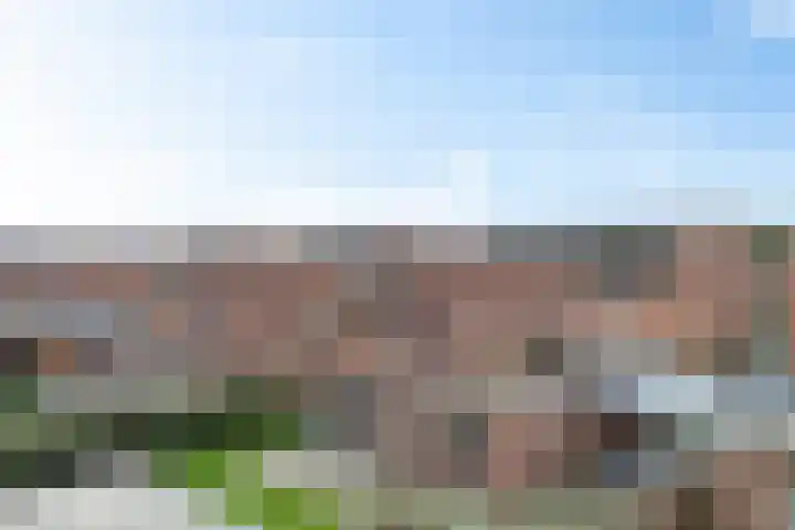 Helmbloemwal 11 Emmen thumbnail 34