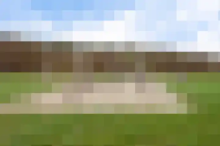 Helmbloemwal 11 Emmen thumbnail 42