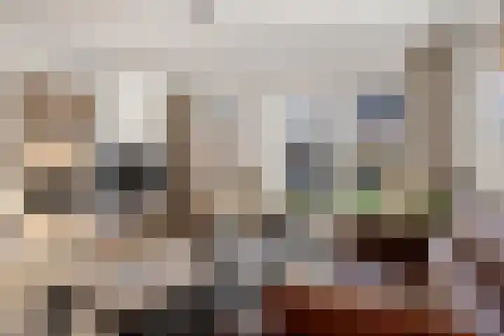 Helmbloemwal 11 Emmen thumbnail 7
