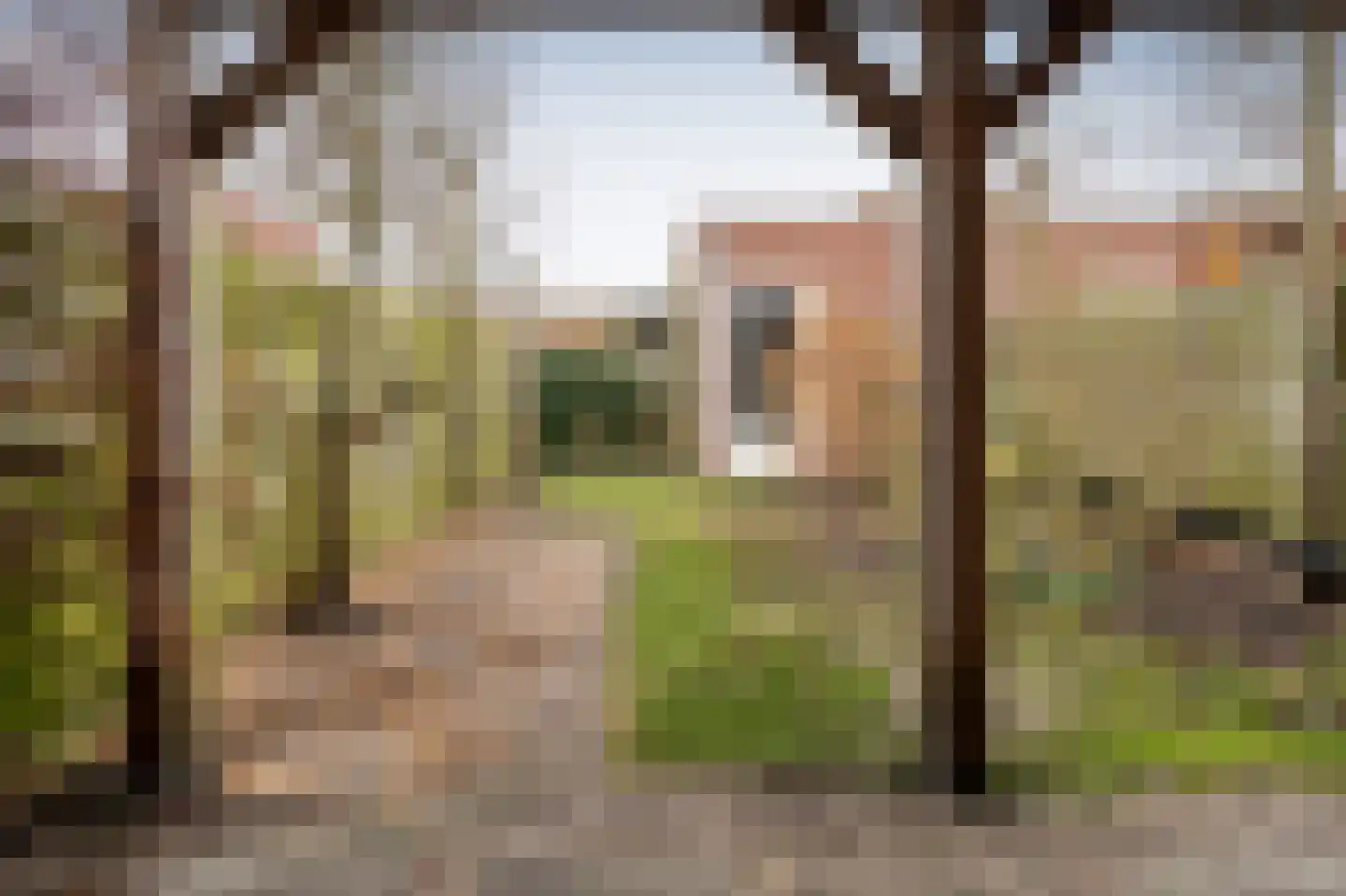 Helmbloemwal 22 Emmen thumbnail 21