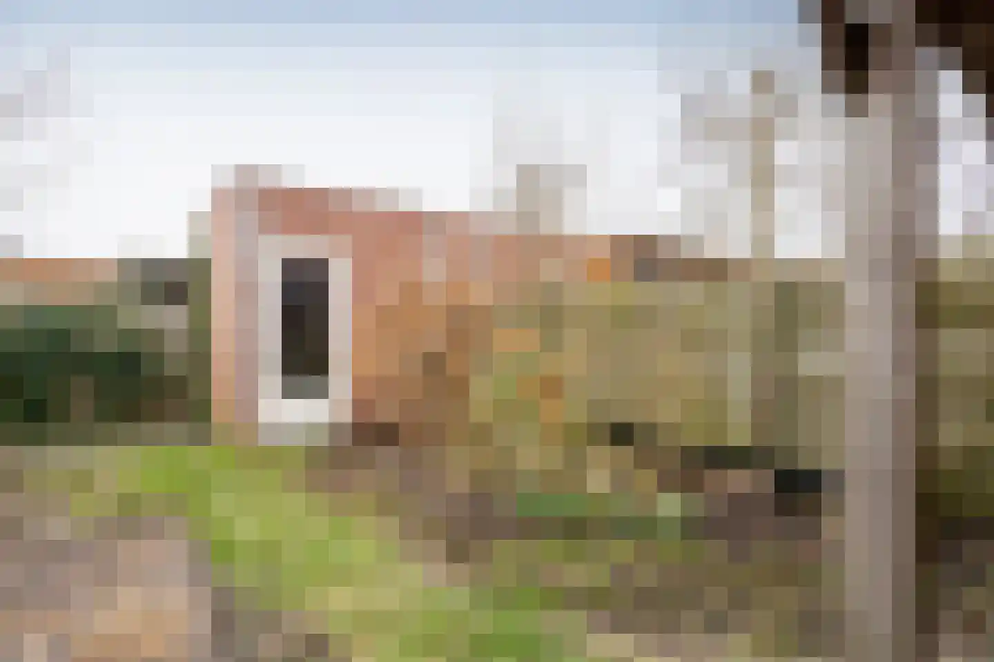 Helmbloemwal 22 Emmen thumbnail 22