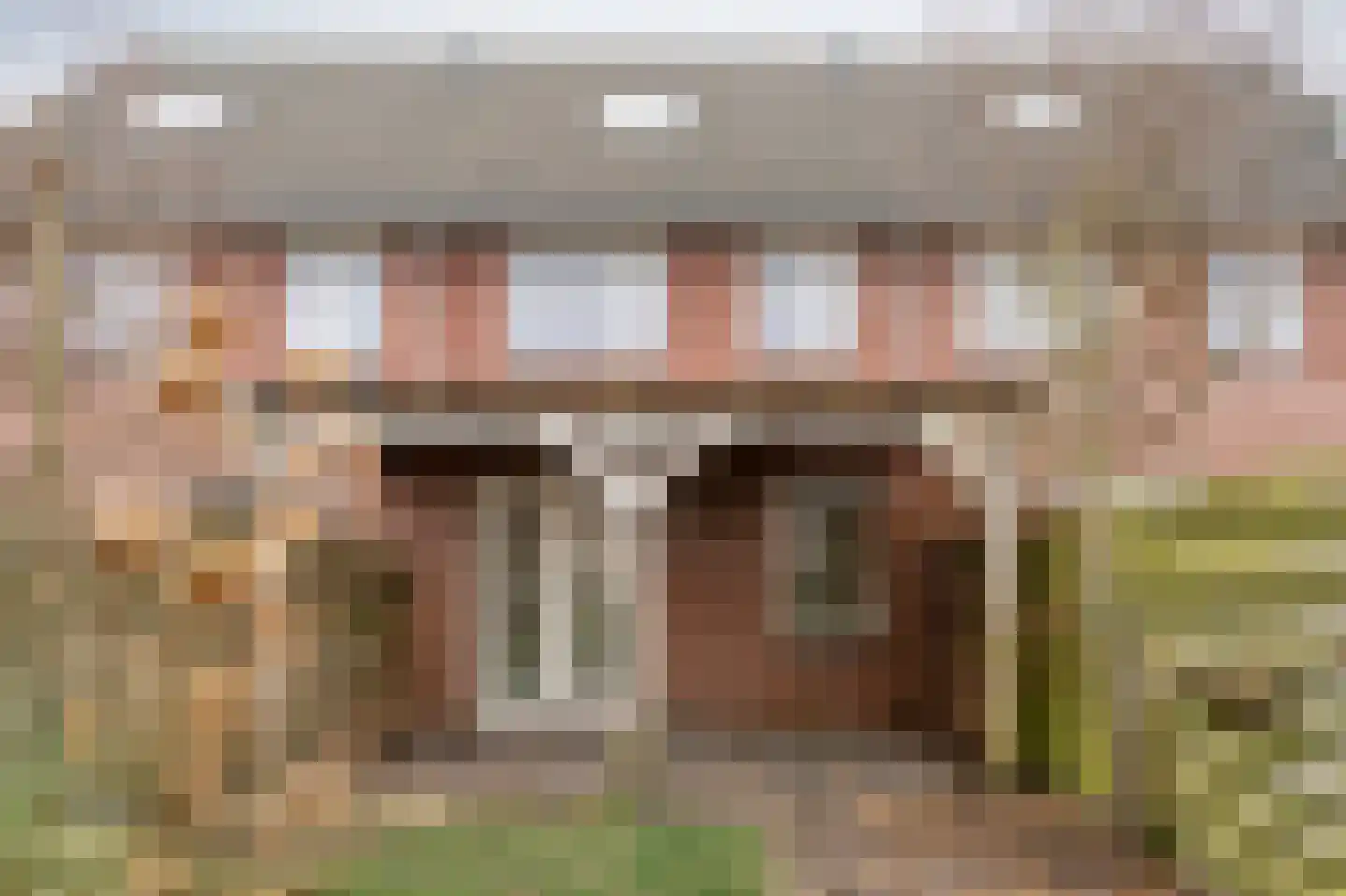 Helmbloemwal 22 Emmen thumbnail 23