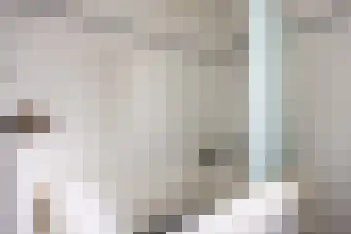 Helmer Molemastraat 50 Warffum thumbnail 34