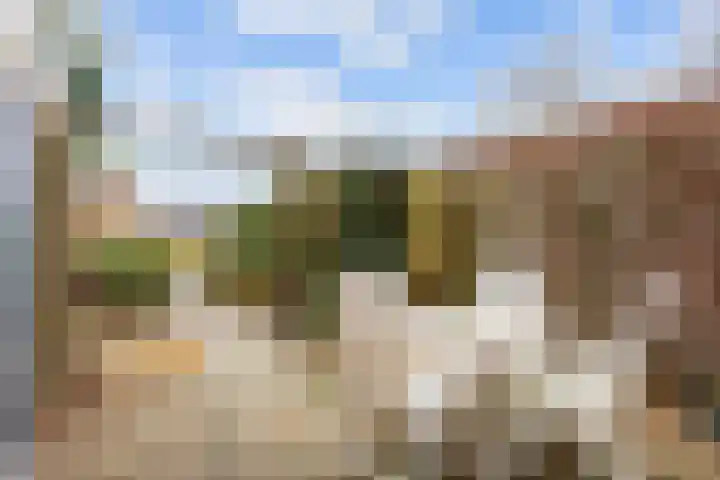 Helmer Molemastraat 50 Warffum thumbnail 39