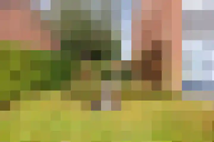 Helmer Molemastraat 50 Warffum thumbnail 4