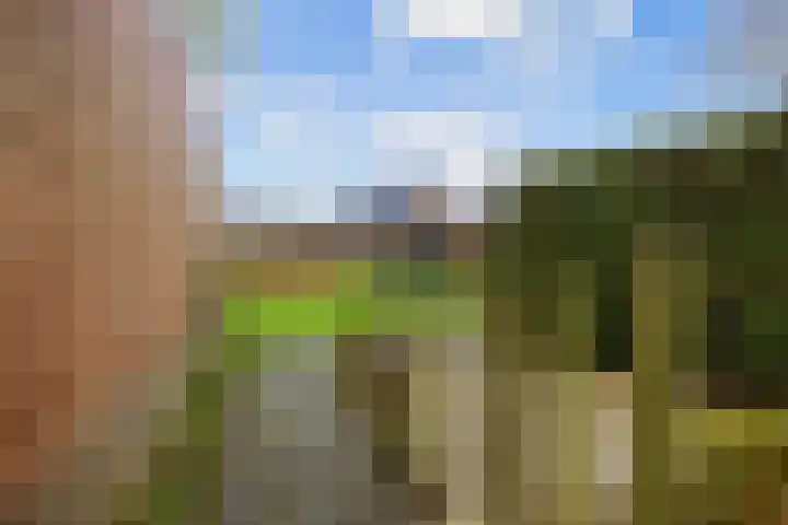 Helmer Molemastraat 50 Warffum thumbnail 43