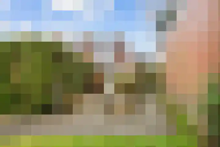 Helmer Molemastraat 50 Warffum thumbnail 45
