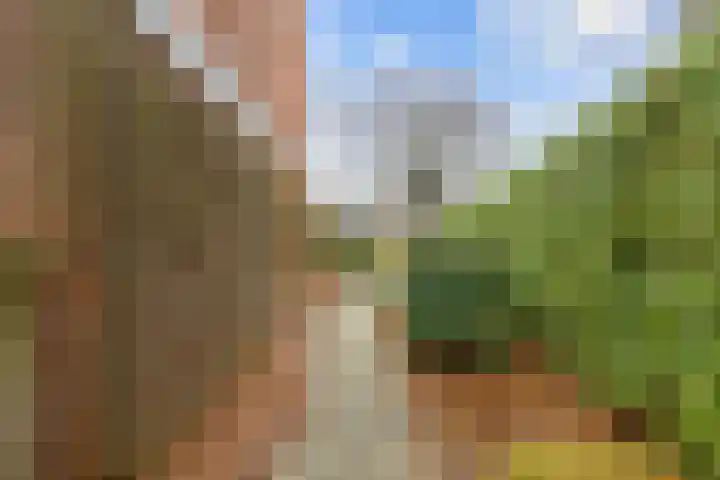 Helmer Molemastraat 50 Warffum thumbnail 49