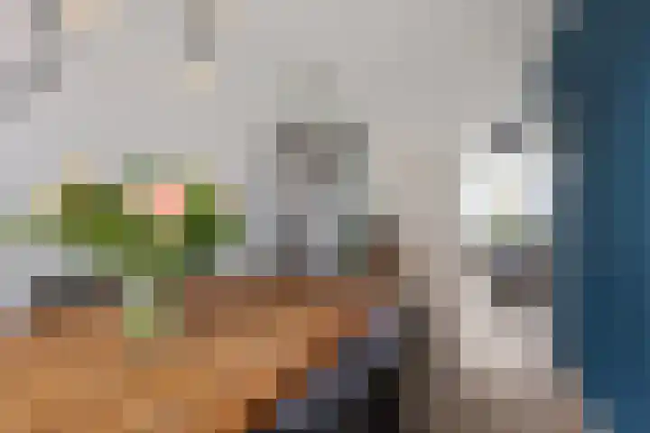Helmer Molemastraat 8 Warffum thumbnail 10