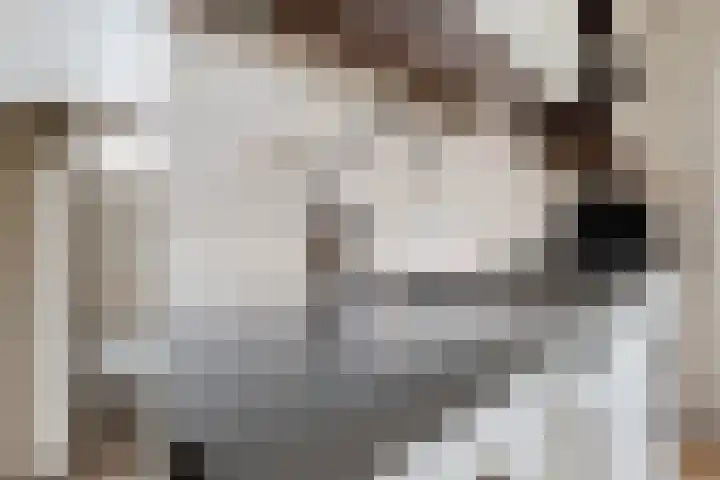 Helmer Molemastraat 8 Warffum thumbnail 14