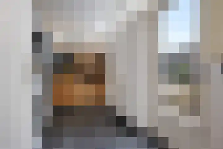 Helmer Molemastraat 8 Warffum thumbnail 15