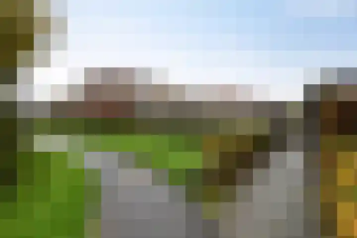 Helmer Molemastraat 8 Warffum thumbnail 39