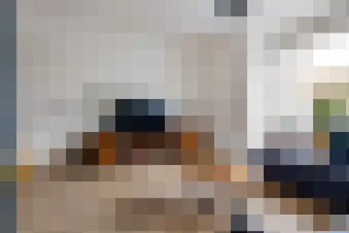 Helmer Molemastraat 8 Warffum thumbnail 8