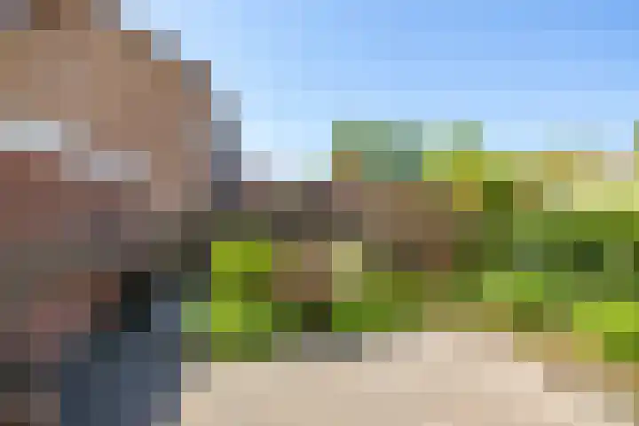 Helmerdijk 45 Paterswolde thumbnail 13