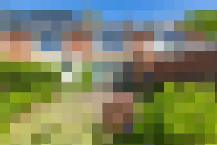 Helmerdijk 45 Paterswolde thumbnail 14