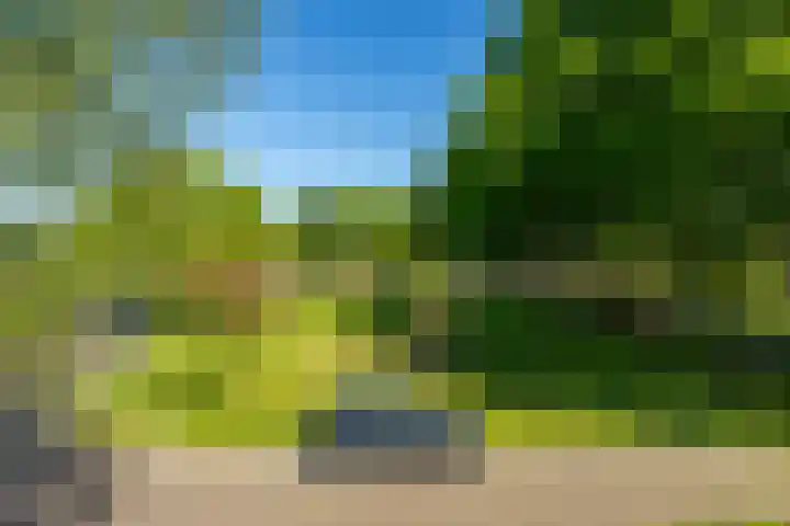 Helmerdijk 45 Paterswolde thumbnail 30