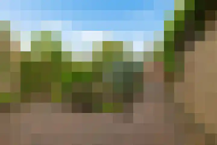 Helmerdijk 49 Paterswolde thumbnail 23