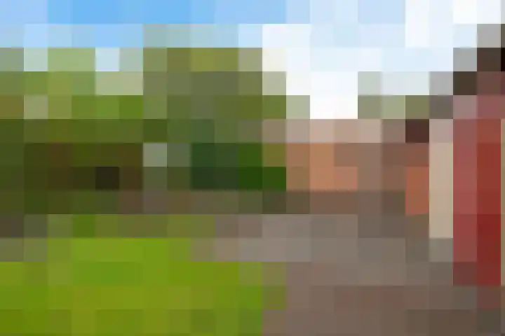 Helmerdijk 49 Paterswolde thumbnail 24