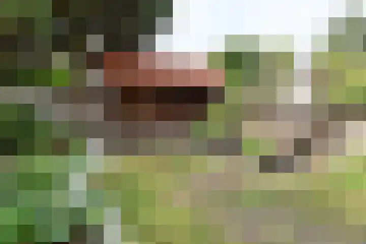 Helmerslaan 10 Hilversum thumbnail 19
