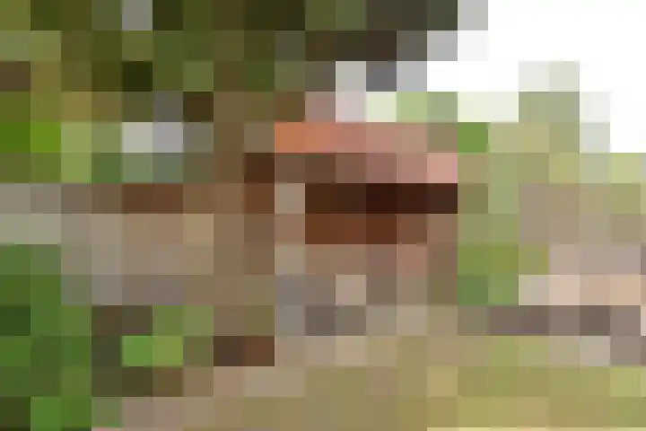 Helmerslaan 10 Hilversum thumbnail 21