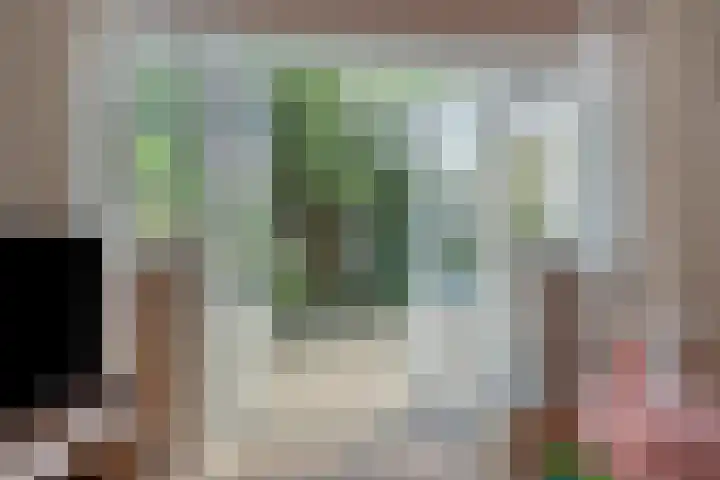Helmerslaan 42 Eindhoven thumbnail 12