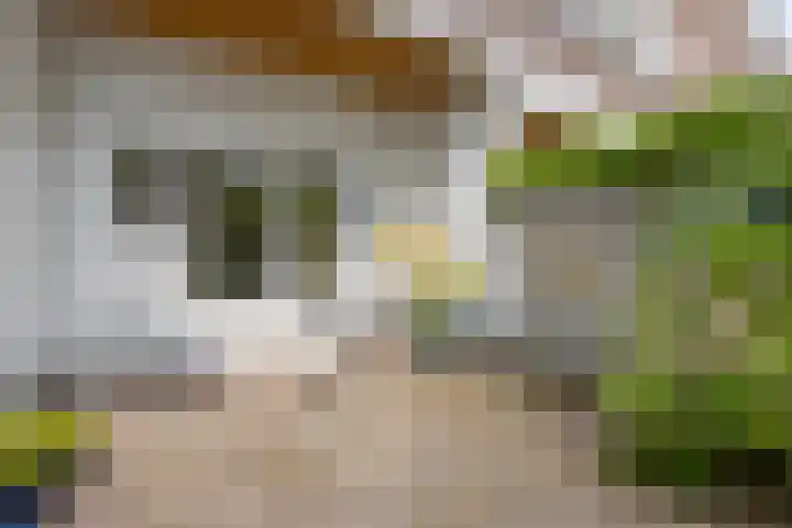 Helmerslaan 42 Eindhoven thumbnail 27