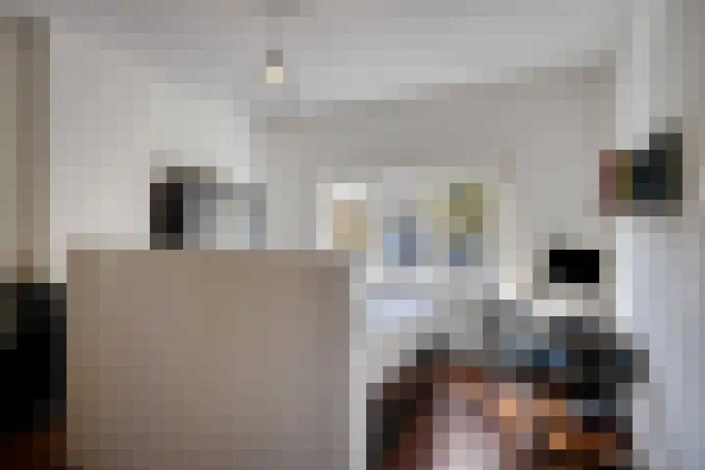 Helmerslaan 5 Eindhoven thumbnail 15