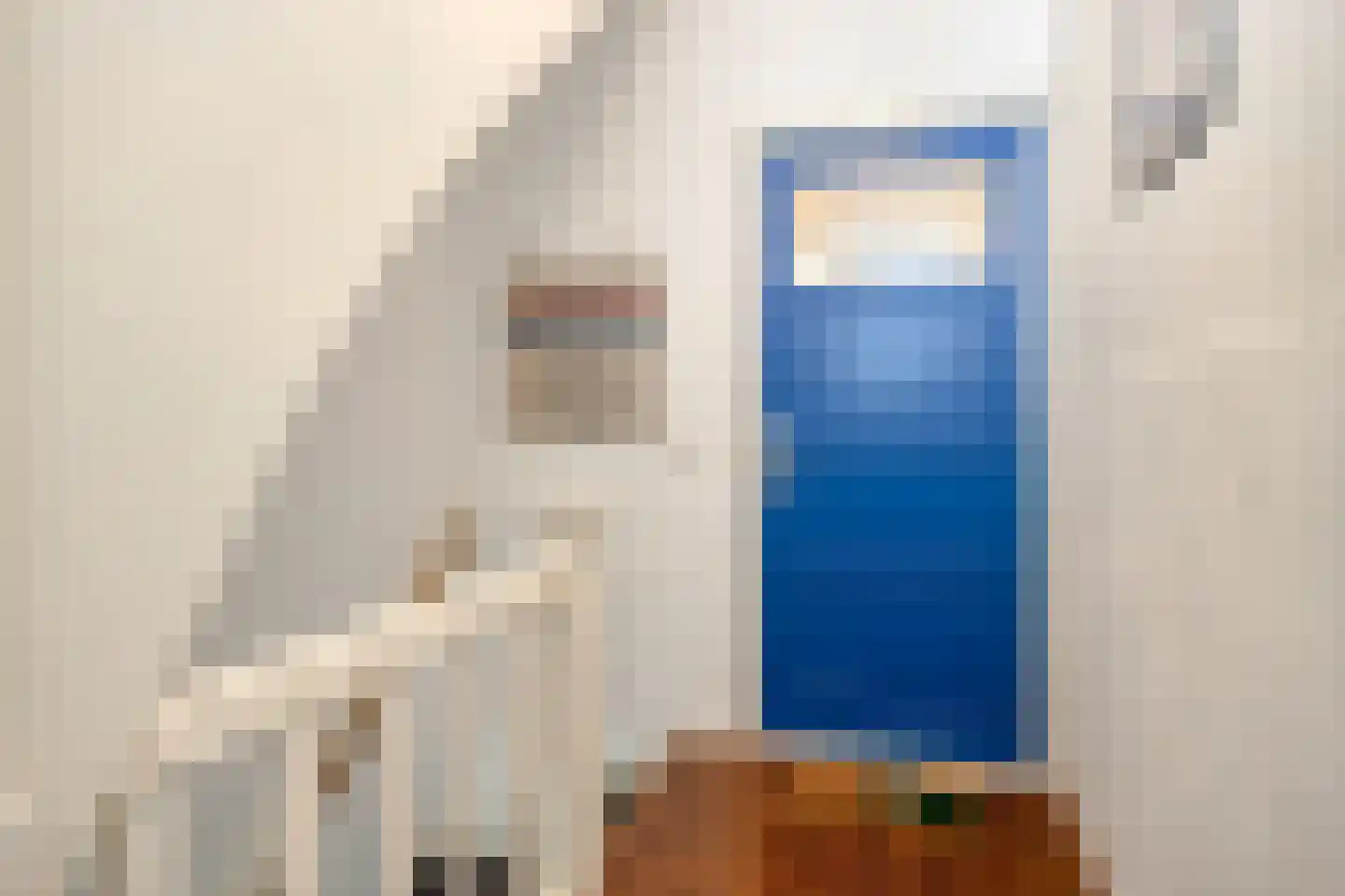 Helmerslaan 5 Eindhoven thumbnail 8