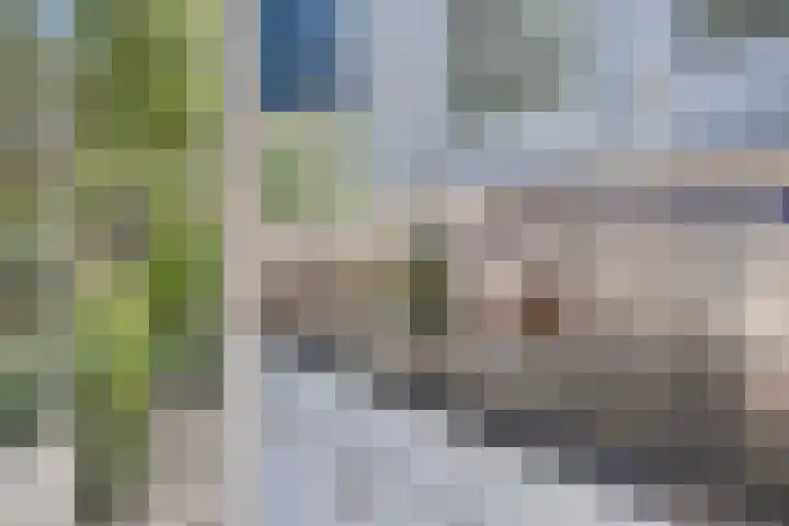 Helmerslaan 60 Eindhoven thumbnail 24