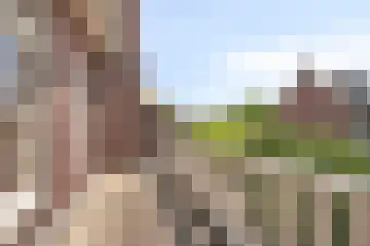 Helmerslaan 60 Eindhoven thumbnail 30