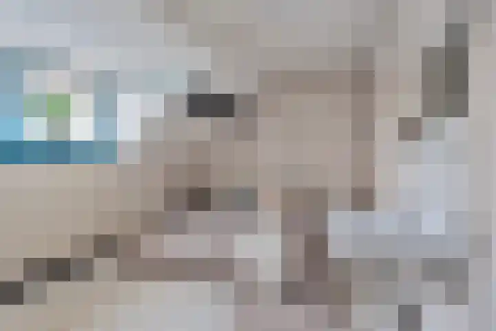 Helmerslaan 60 Eindhoven thumbnail 37