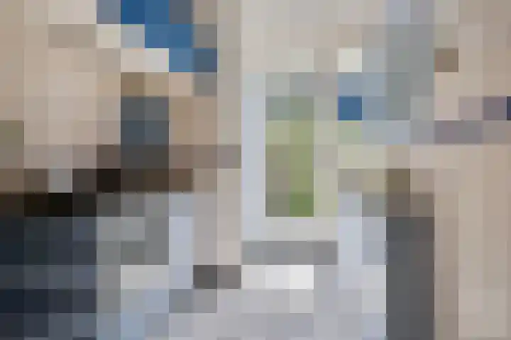 Helmerslaan 60 Eindhoven thumbnail 4