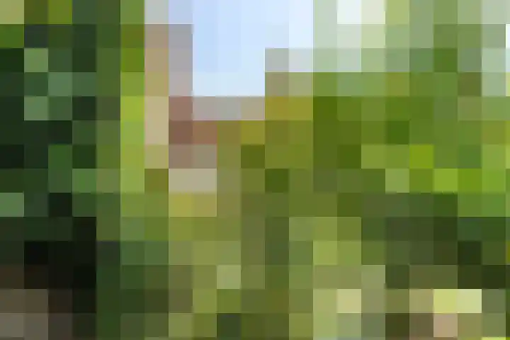 Helmerslaan 60 Eindhoven thumbnail 41
