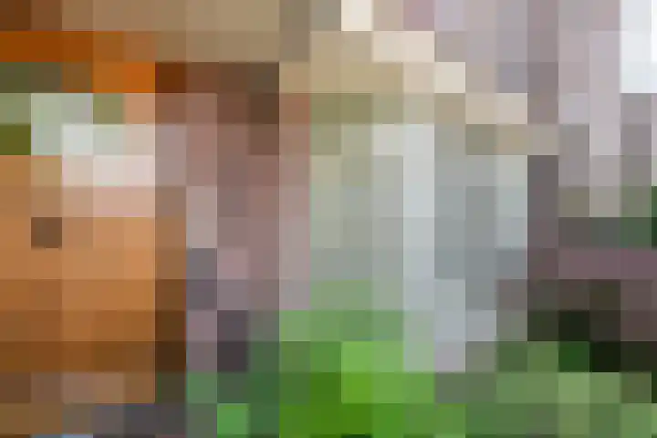 Helmerslaan 60 Eindhoven thumbnail 6