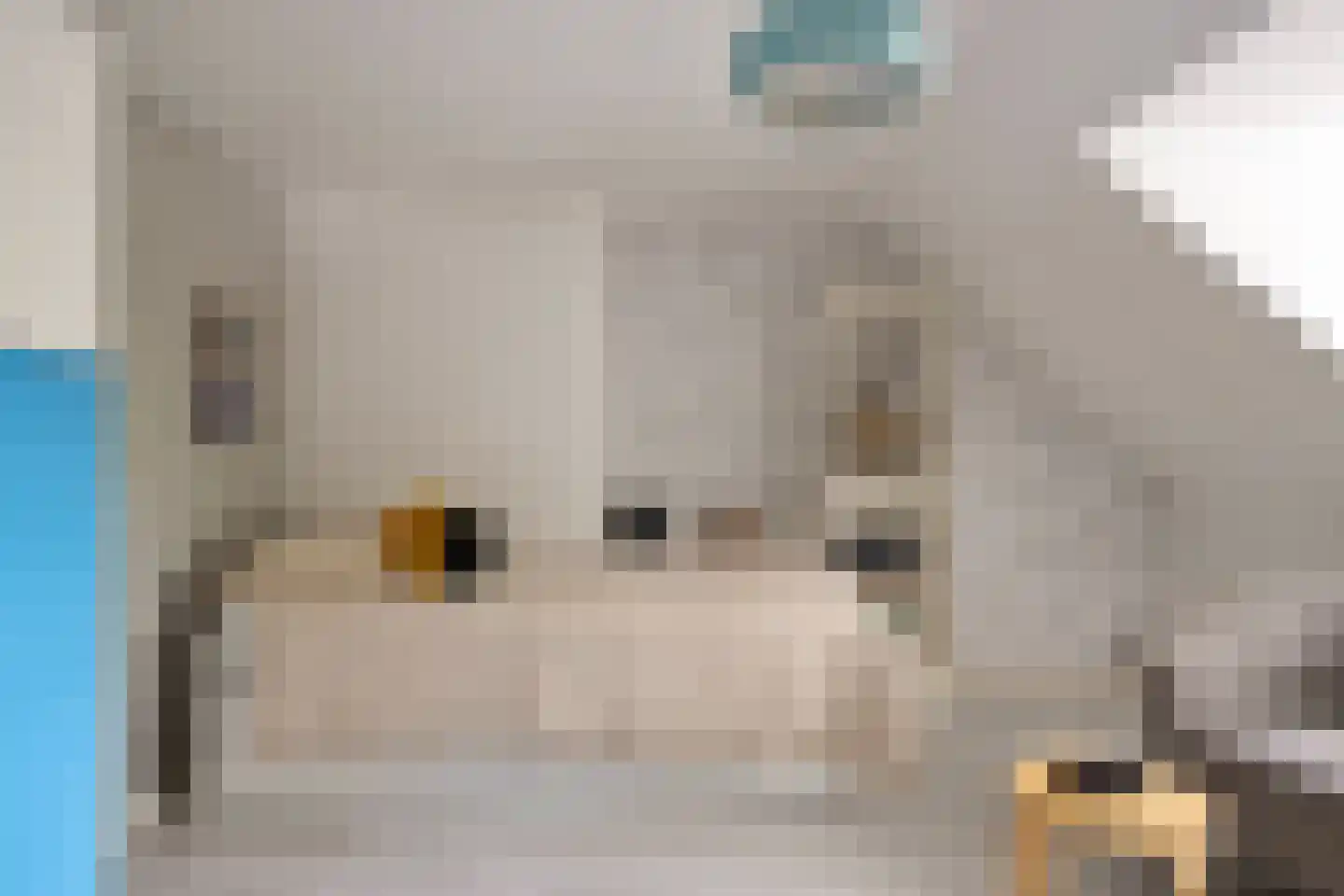Helmerslaan 69 Eindhoven thumbnail 34