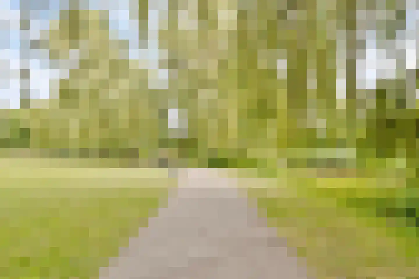 Helmerslaan 69 Eindhoven thumbnail 44