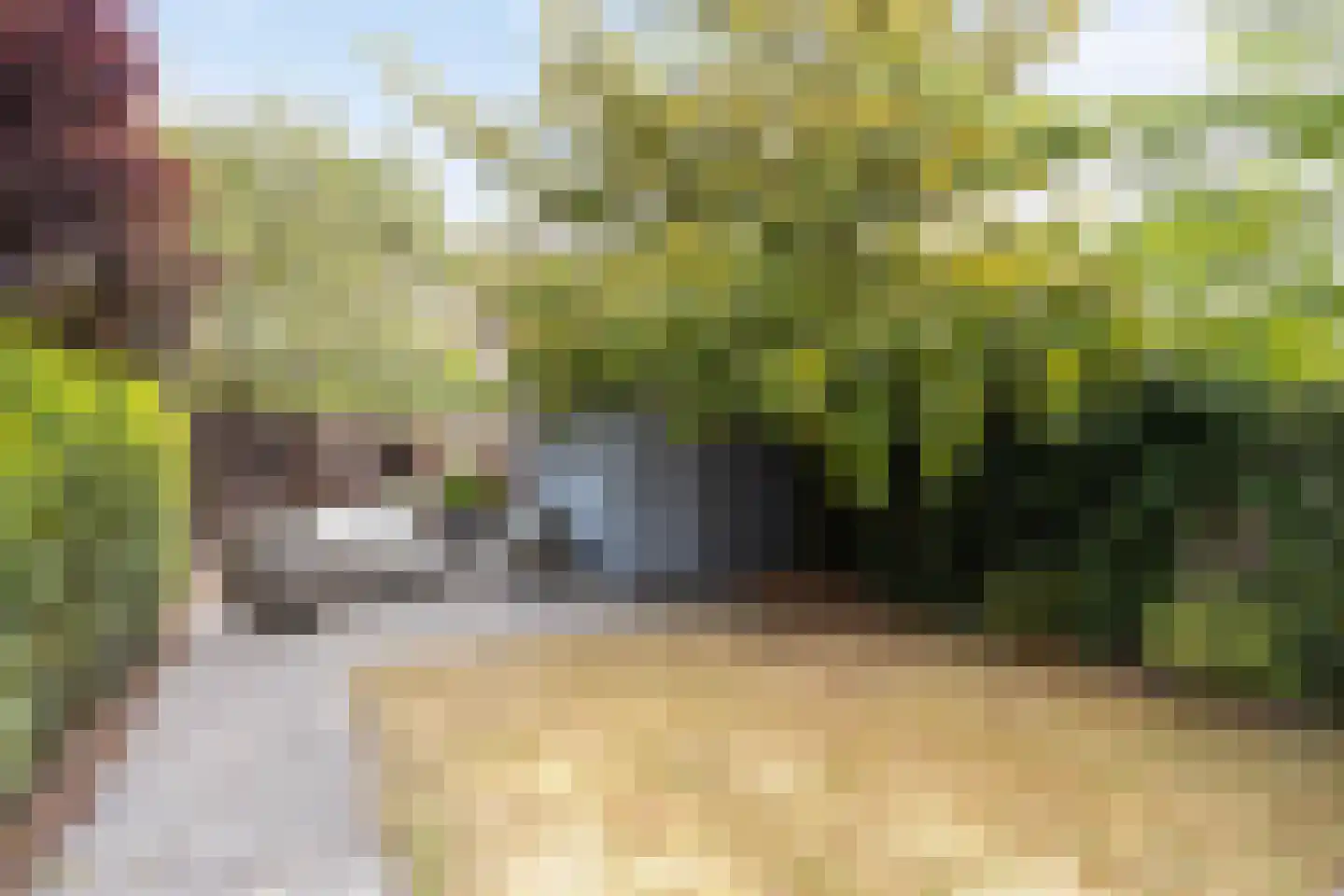 Helmerslaan 69 Eindhoven thumbnail 6