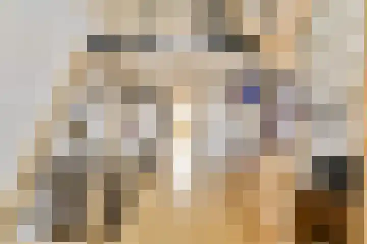 Helmersplantsoen 5 Amsterdam thumbnail 12