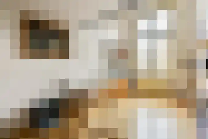 Helmersplantsoen 5 Amsterdam thumbnail 16