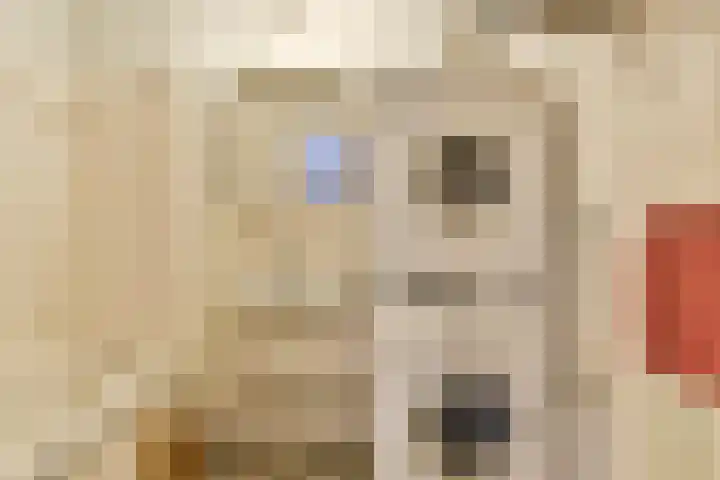 Helmersplantsoen 5 Amsterdam thumbnail 18
